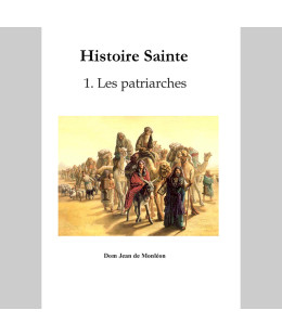 Histoire Sainte - T1. Les...