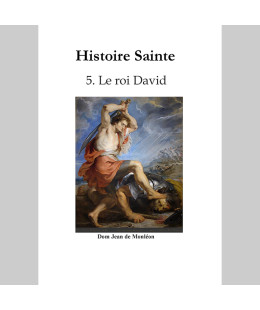 Histoire Sainte de Dom...