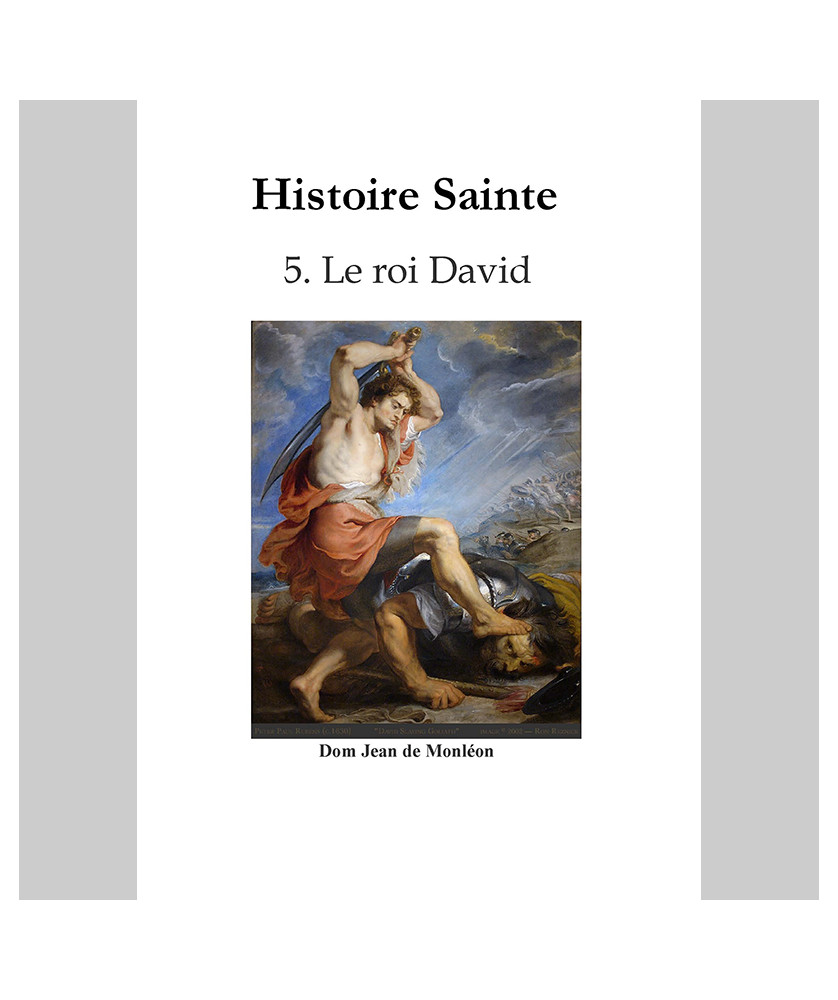 Histoire Sainte de Dom Monléon — TOME 5 — Le roi David